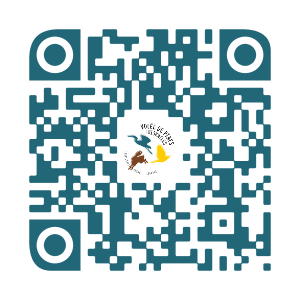QR Code - 