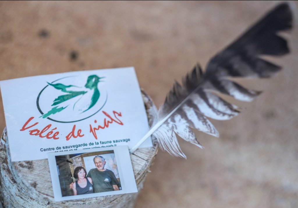 Fondateurs de Volée de piafs